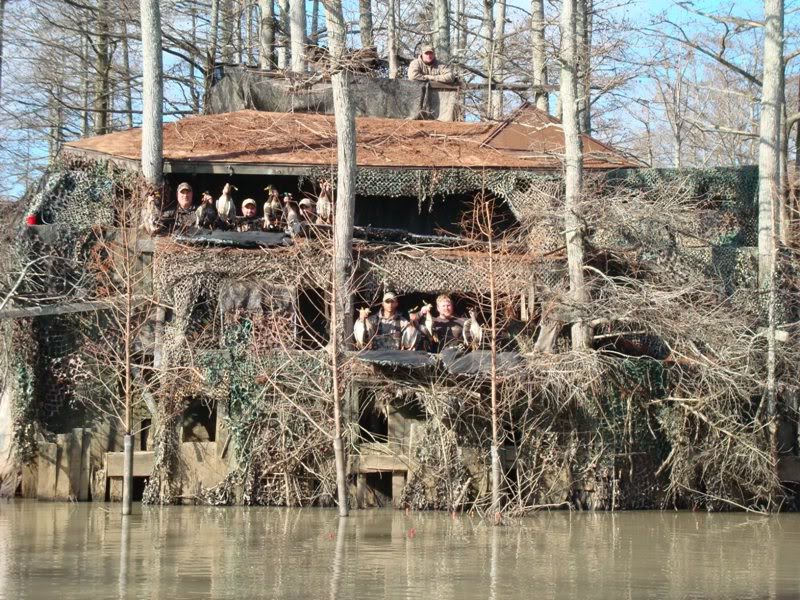 Duck Hunting Blinds